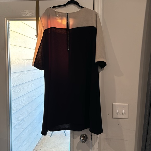 Plus size Dress - Picture 2 of 3